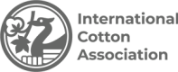 ICA